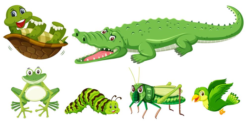 Set of green animal vector