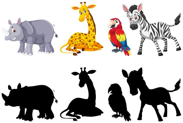 Set of animal character vector