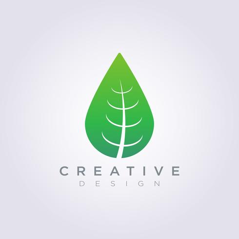 Leaf Water Drop Vector Illustration Design Clipart Symbol Logo Template