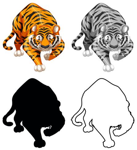 Set of tiger character vector