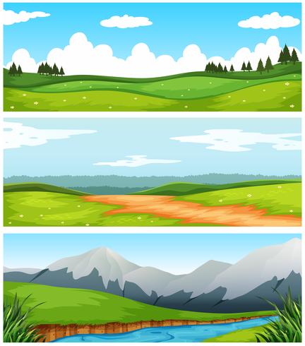 Scenes with field and road in countryside vector