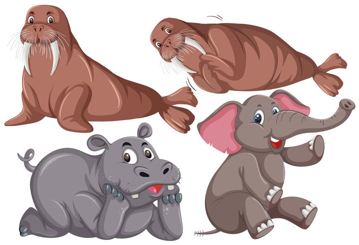 Set of cute animals vector