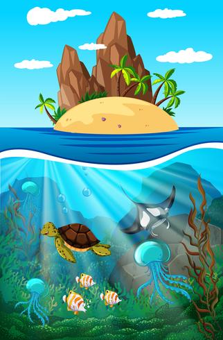 Sea animals swimming underwater vector