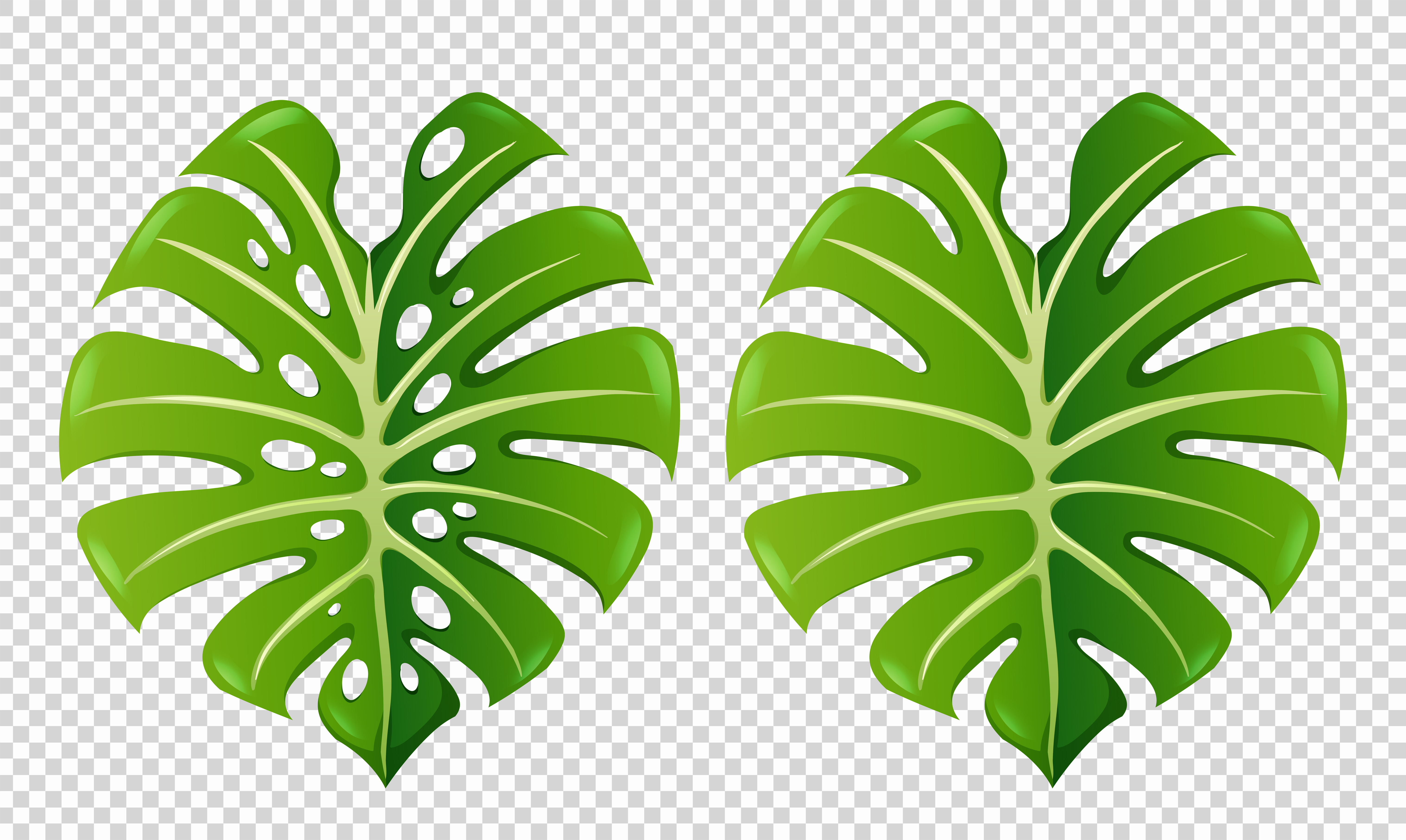 Two patterns of green leaves 607622 - Download Free Vectors, Clipart