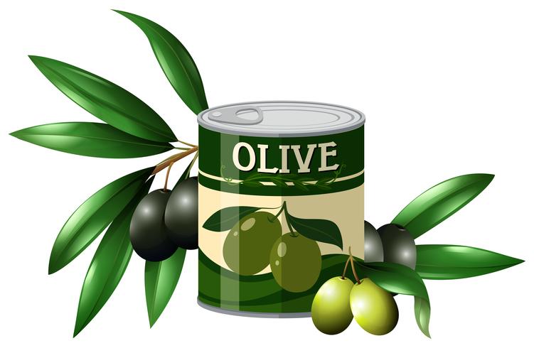 Fresh olive and olive in can vector