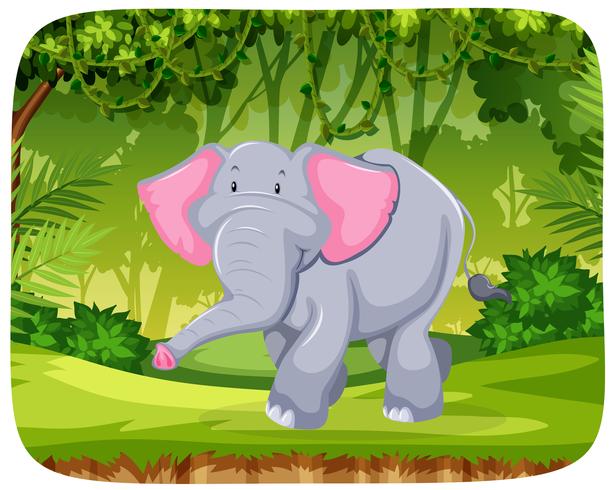 Elephant in the jungle vector