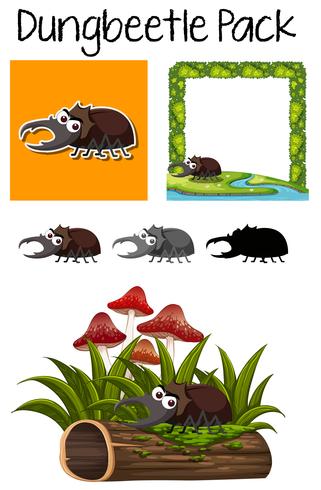 A pack of dung beetle vector