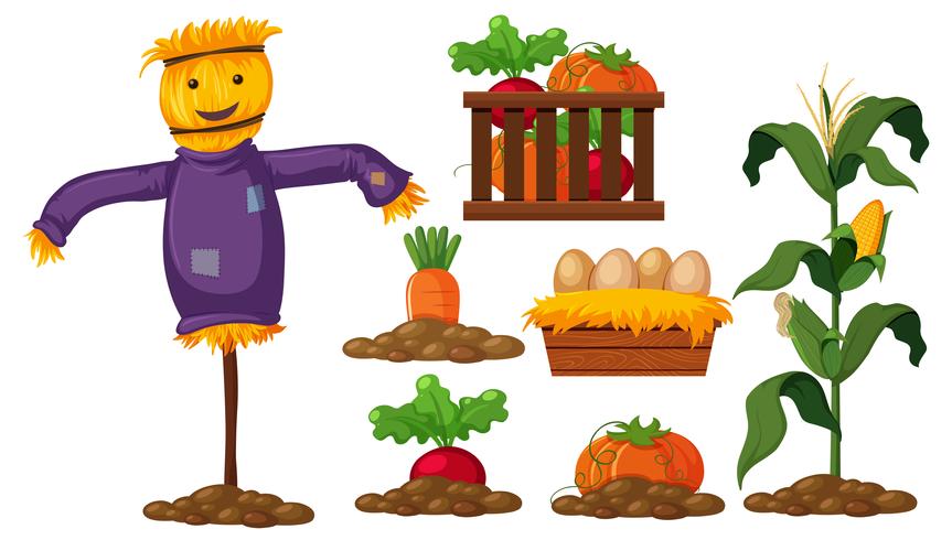 Set of farm product vector