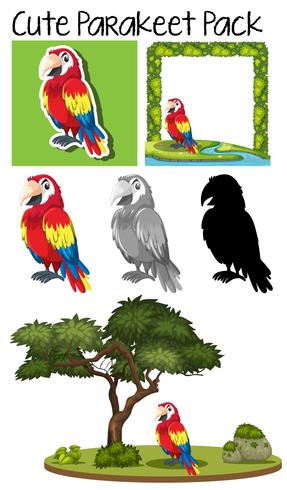 Un paquete de loro lindo vector