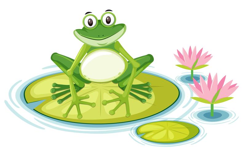 Happy frog on lily pad vector