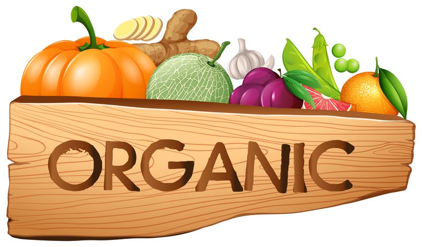 Organic sign with fruits and vegetables vector