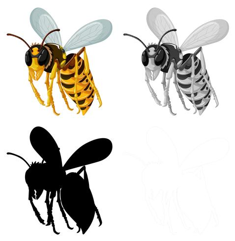 Conjunto de abeja sobre fondo blanco vector