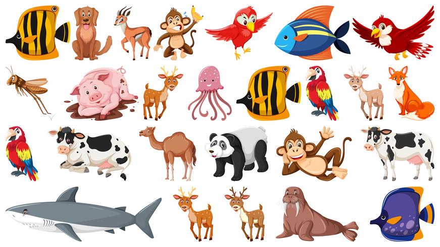 Set of wild animal vector