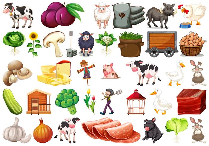 Large set of farm scene vector
