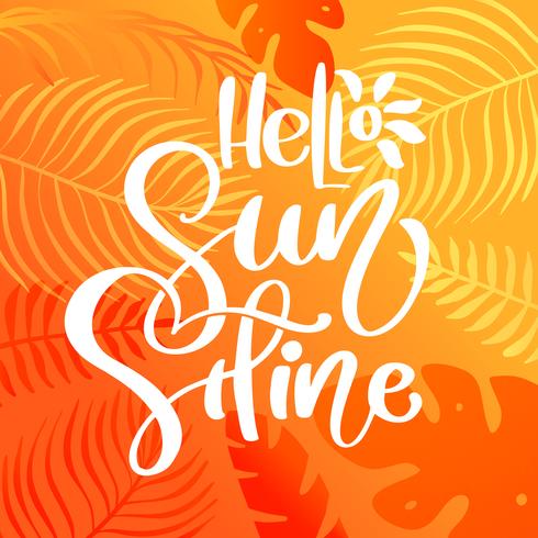 Hello Sunshine calligraphy lettering text for greeting card. Creative doodle beach travel graphic vector illustration. Tropical leaves and sun on background