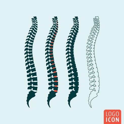 Icono de la columna vertebral humana vector