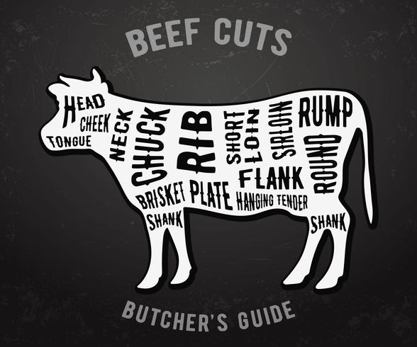 Butcher guide beef cuts vector