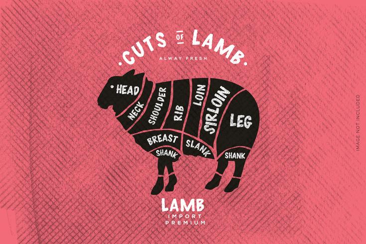 The butcher's Guide, Cut of Lamb vector