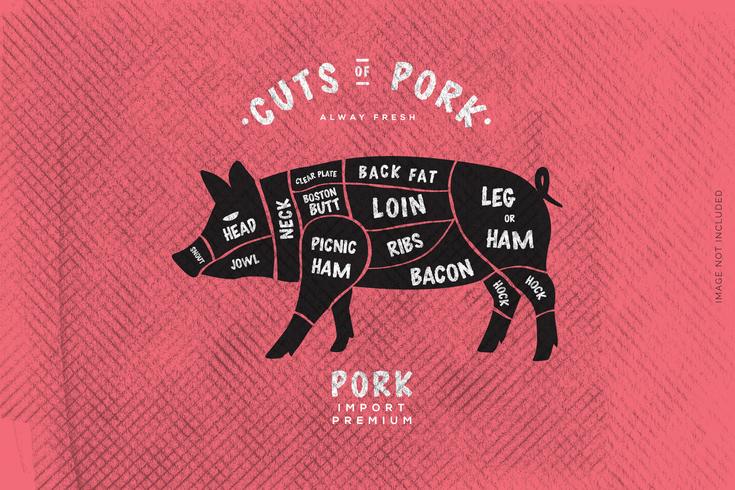 The butcher's Guide, Cut of Pork vector