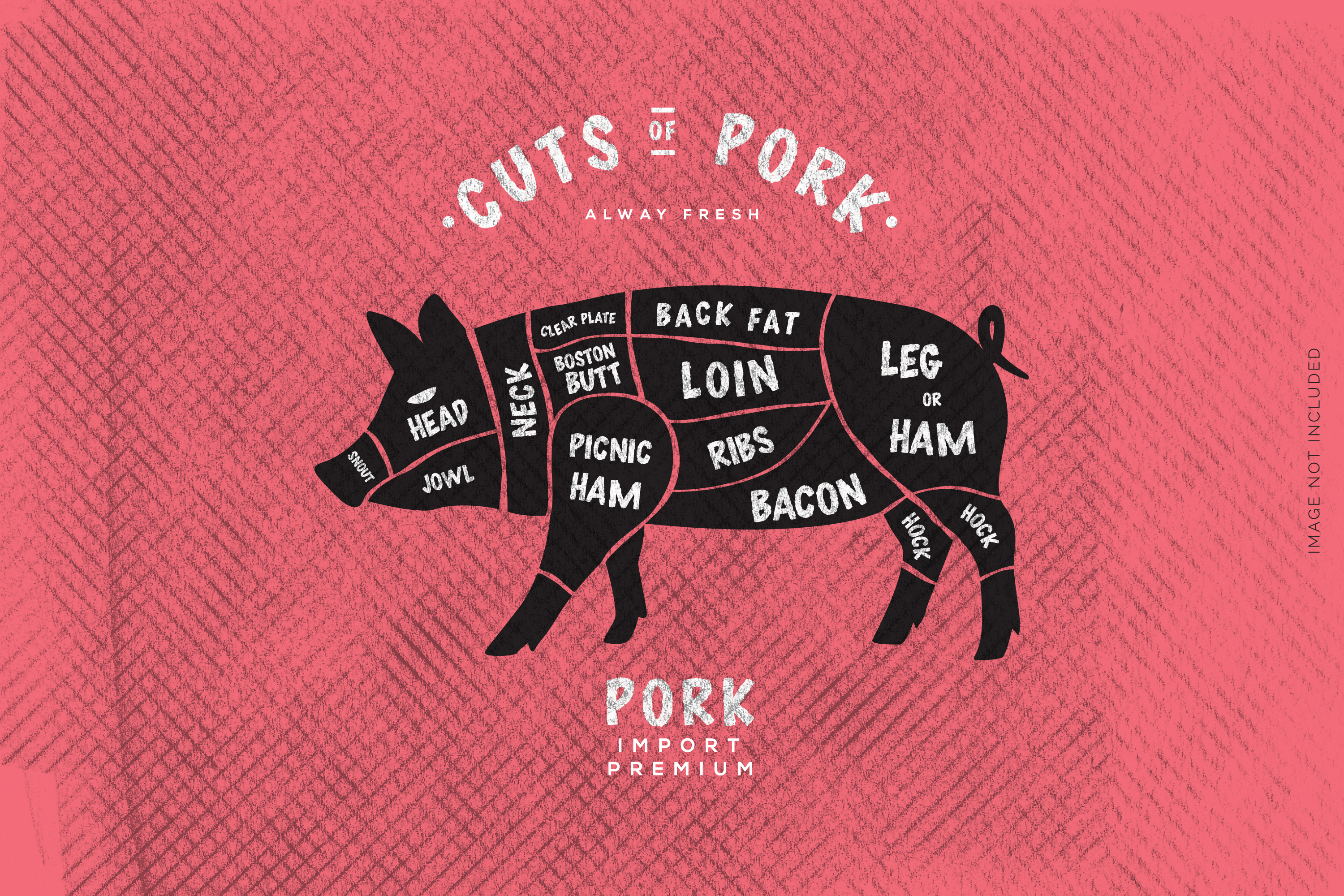The butcher's Guide, Cut of Pork - Download Free Vectors ...