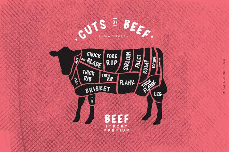 The butcher's Guide, Cut of Beef vector