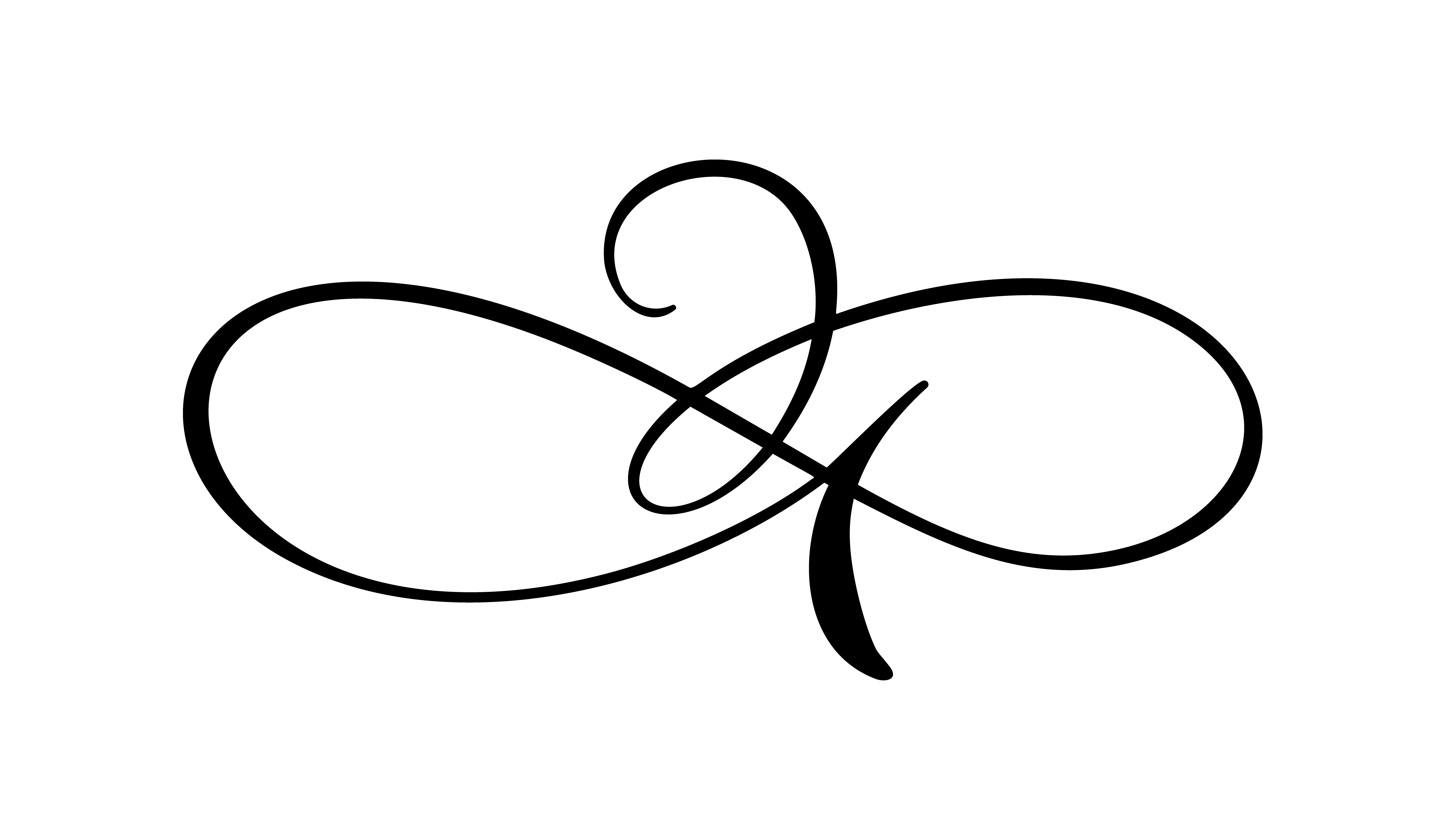 Download Vintage swirl calligraphic flourish, vector divider ...