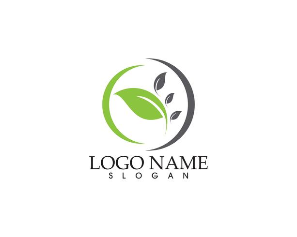 Logos de la hoja verde ecología naturaleza elemento vector icono