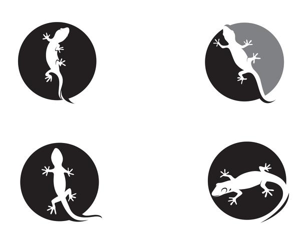 Lizard Chameleon Gecko Silhouette negro vector 10