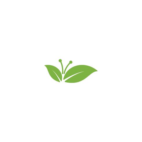 naturaleza hoja logotipo diseño vector ilustración icono elemento