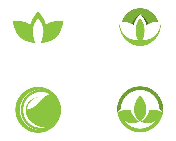 green leaf ecology nature element vector icon