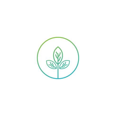 naturaleza hoja logotipo diseño vector ilustración icono elemento