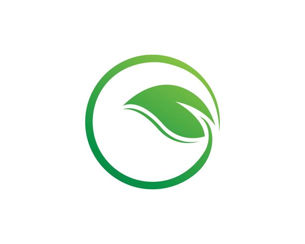 green leaf ecology nature element vector icon