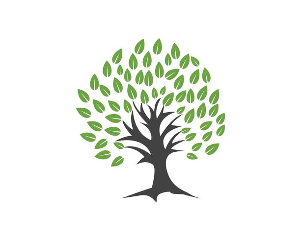 Plantilla de logotipo de vector de tarjeta de identidad de personas verdes de árbol