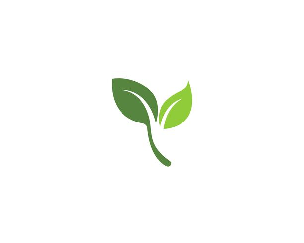 green leaf ecology nature element vector icons