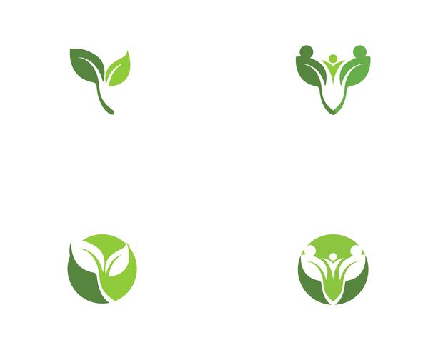 green leaf ecology nature element vector icons