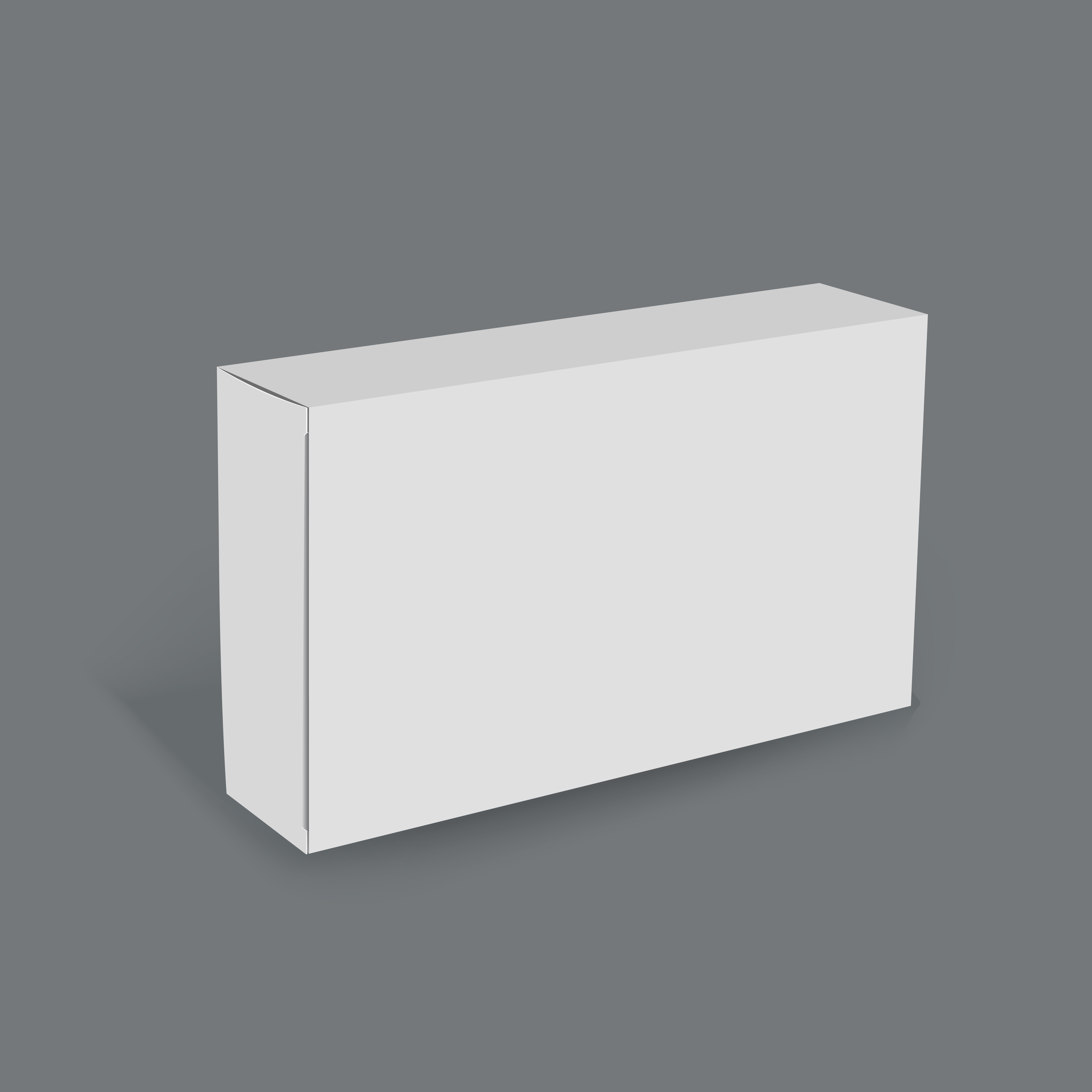 Box mockup vector