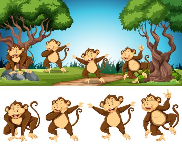 Group of monkey in nature vector