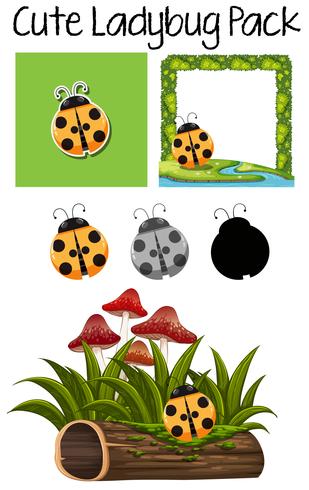 Cute lady bug pack vector