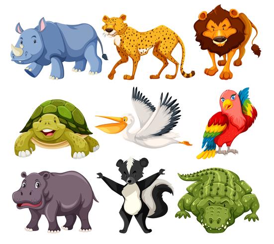 conjunto de paquete de animales vector