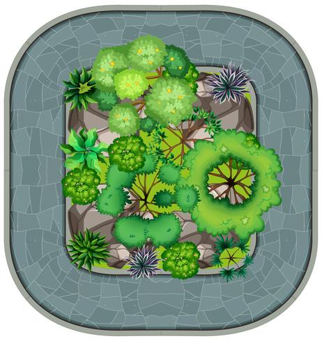 An aeriel view of garden vector