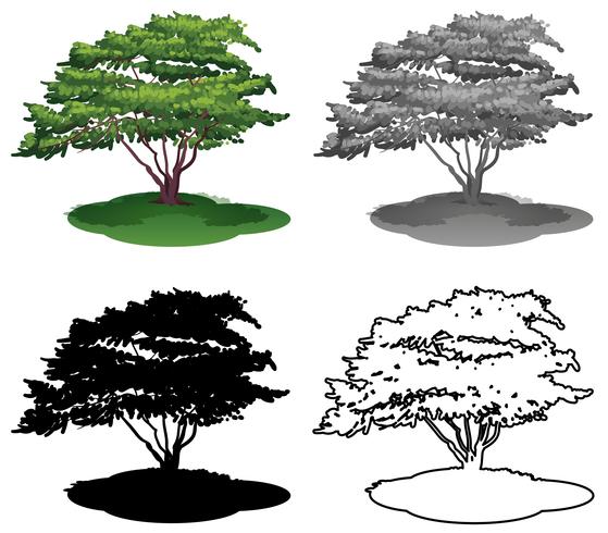 Conjunto de árbol sobre fondo blanco vector