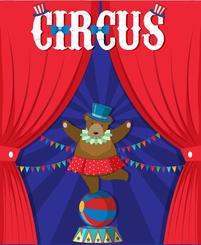 Bear Show Behind Circus Curtain vector