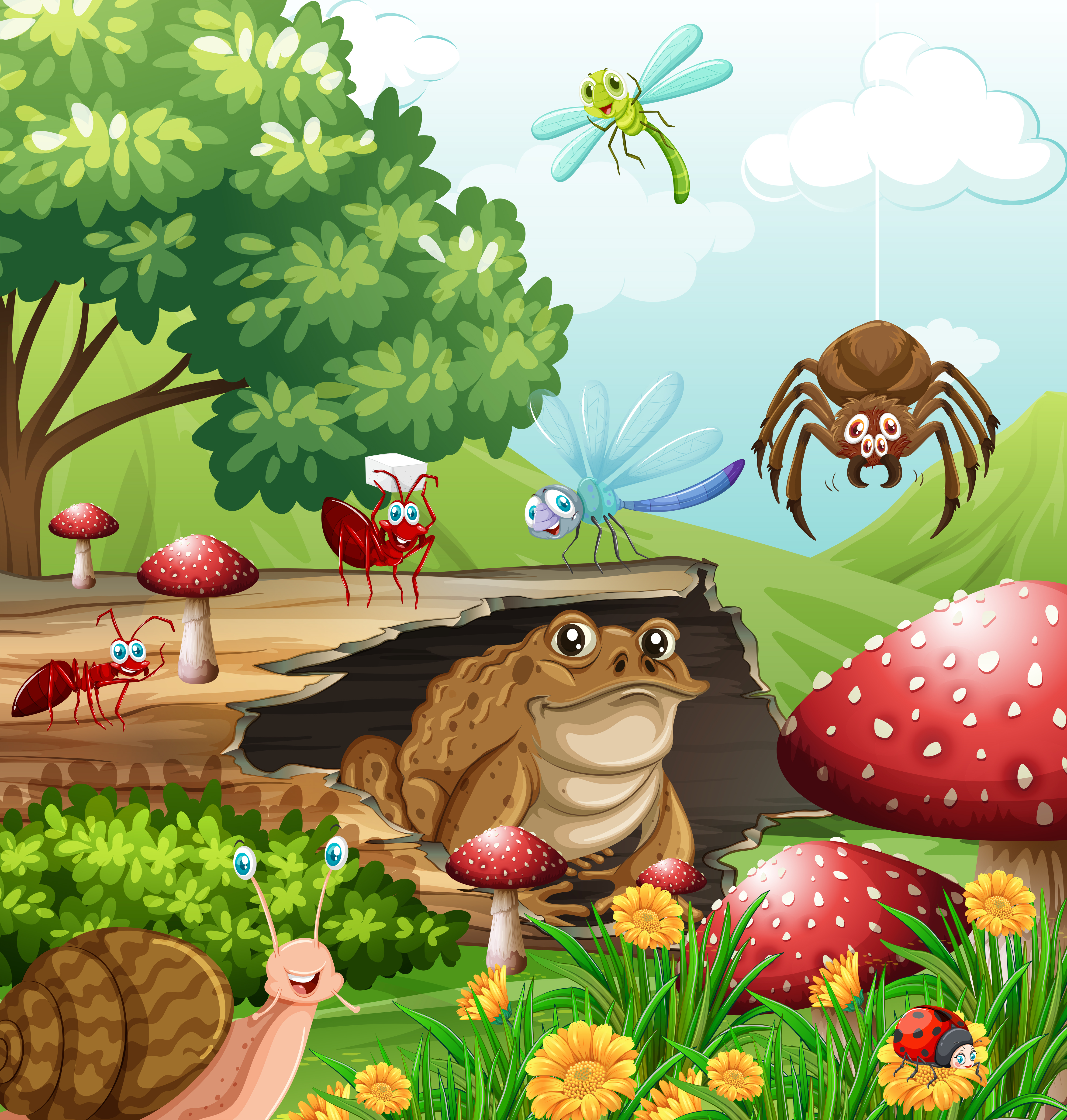 Different types of insects in garden at daytime - Download ...