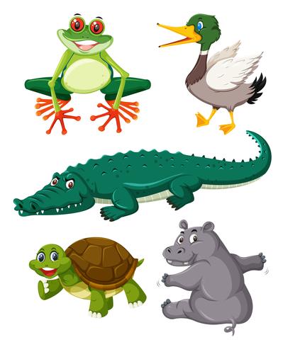 Set of reptiles animals vector