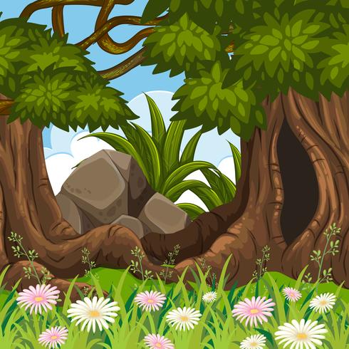 Forest land scape scene vector