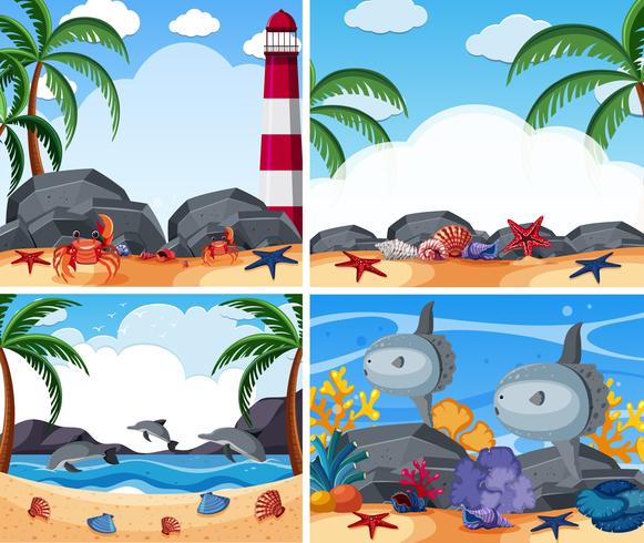 Cuatro escenas oceánicas con animales y playa. vector