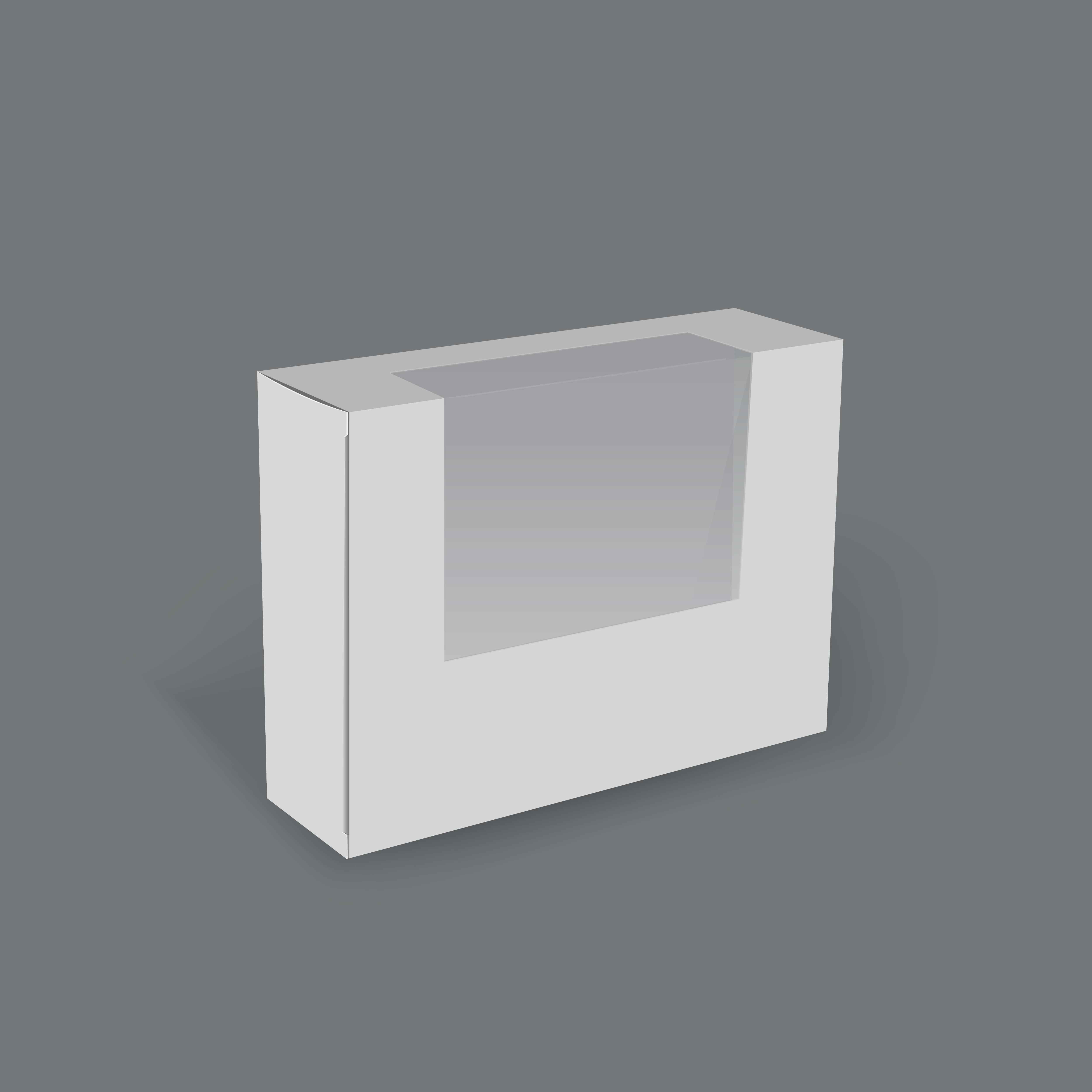 Box mockup vector