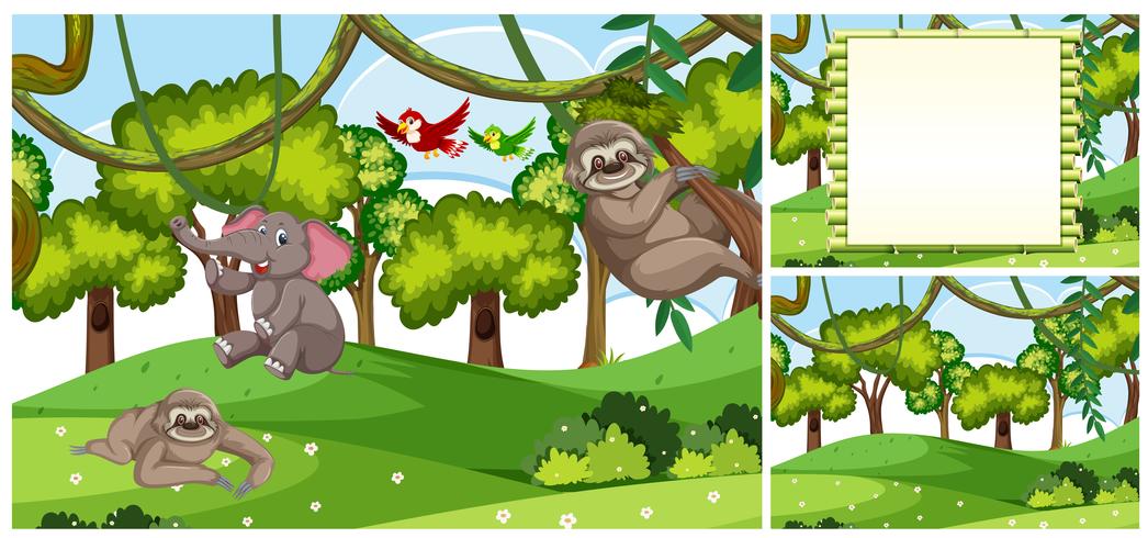 Set of Jungle animal scenes vector