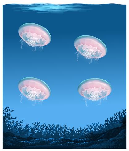 jellyfish under deep ocean