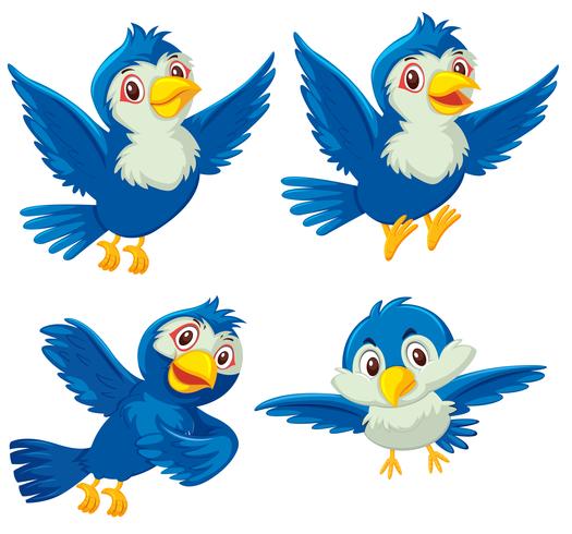 Conjunto de cuatro pájaros azules vector